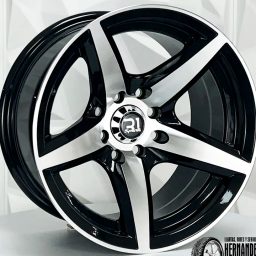 R1 10131